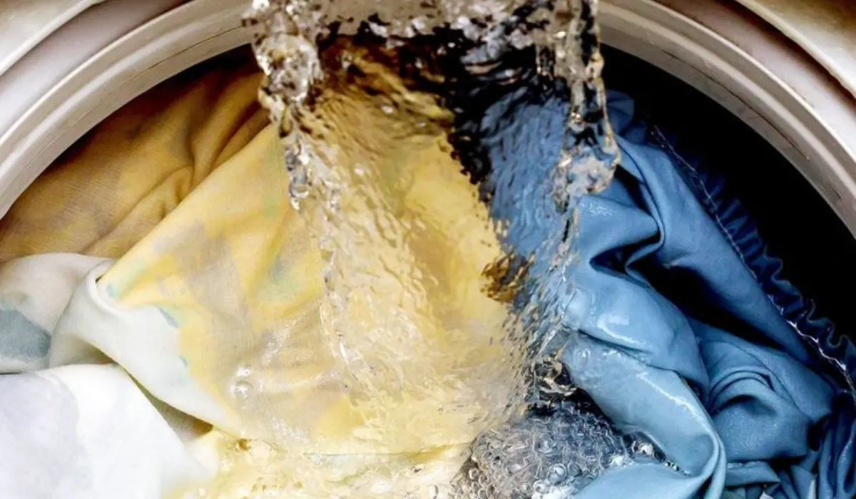 Not Washing or Spinning